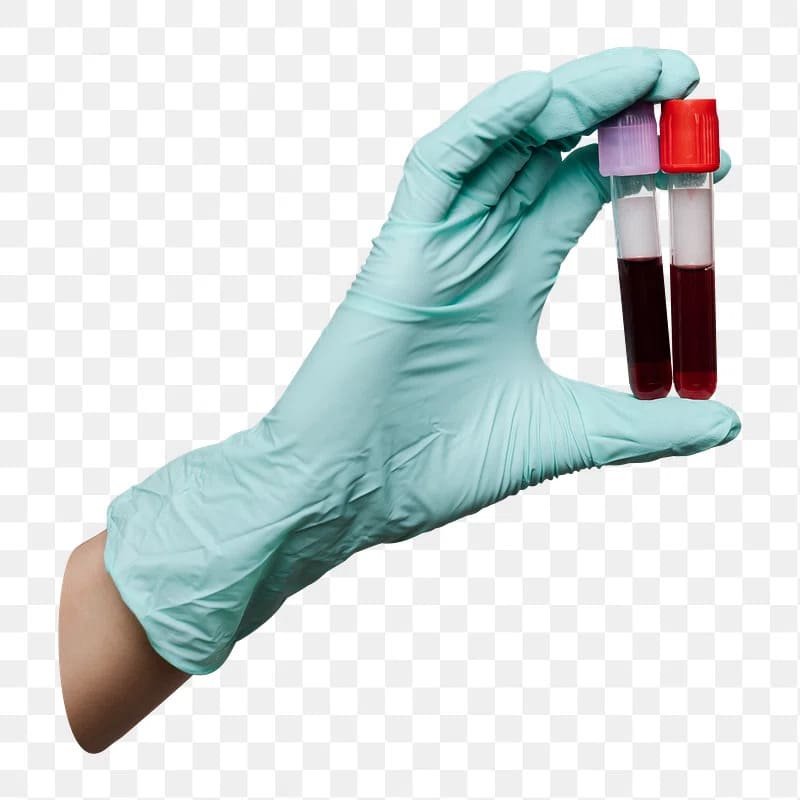 Polypropylene Test Tubes